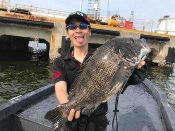 シーマジカル 釣果