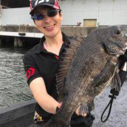 シーマジカル 釣果