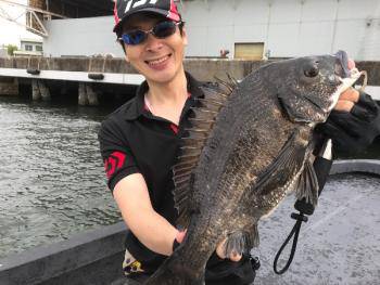 シーマジカル 釣果