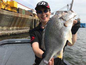 シーマジカル 釣果