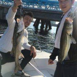 シーマジカル 釣果