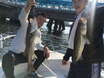 シーマジカル 釣果