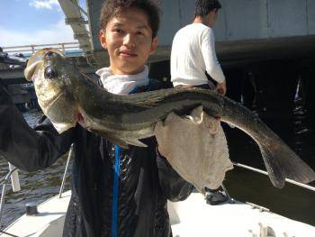 シーマジカル 釣果