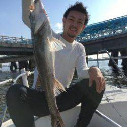 シーマジカル 釣果