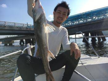 シーマジカル 釣果