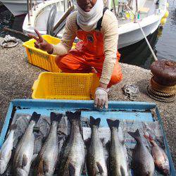 久六釣船 釣果