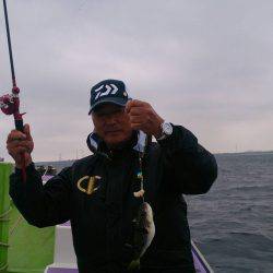 えさ政釣船店 釣果