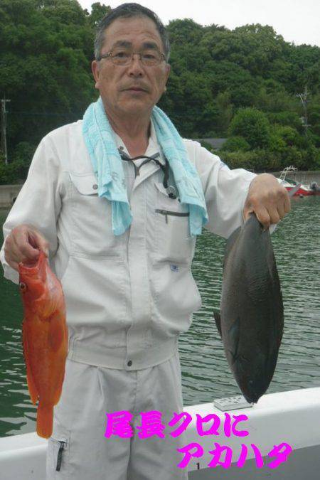 幸和丸 釣果