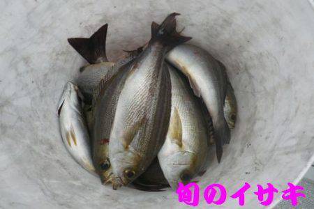 幸和丸 釣果