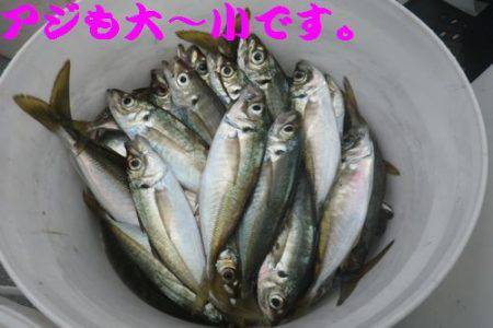 幸和丸 釣果