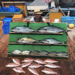 みうら海王 釣果