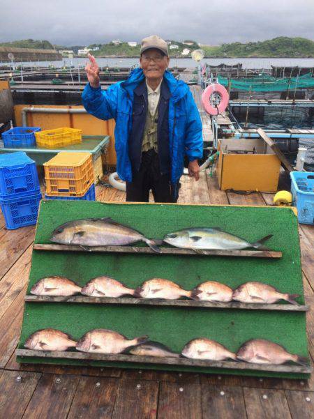 みうら海王 釣果