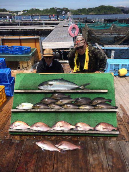 みうら海王 釣果