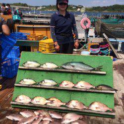 みうら海王 釣果