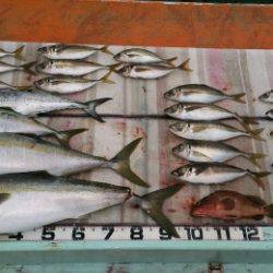 火遠理丸（ほおりまる） 釣果