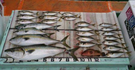 火遠理丸（ほおりまる） 釣果