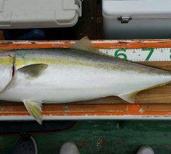 火遠理丸（ほおりまる） 釣果