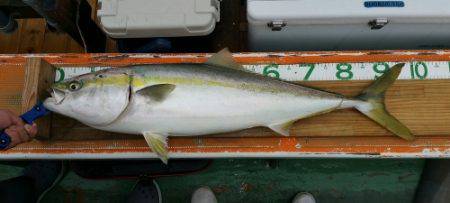 火遠理丸（ほおりまる） 釣果