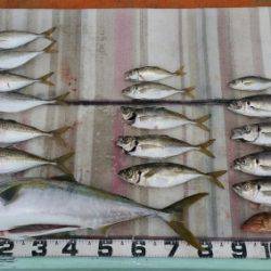 火遠理丸（ほおりまる） 釣果