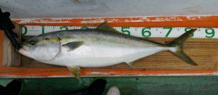 火遠理丸（ほおりまる） 釣果