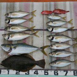 火遠理丸（ほおりまる） 釣果