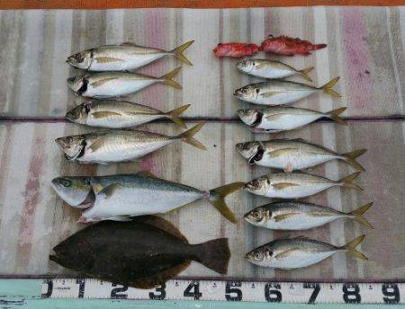 火遠理丸（ほおりまる） 釣果