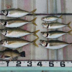 火遠理丸（ほおりまる） 釣果