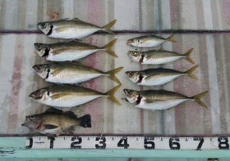 火遠理丸（ほおりまる） 釣果