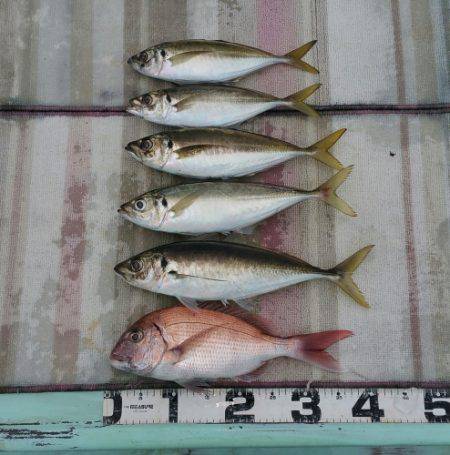 火遠理丸（ほおりまる） 釣果