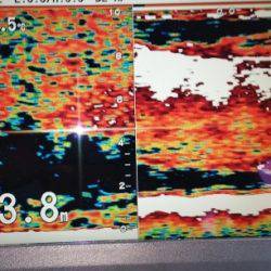 火遠理丸（ほおりまる） 釣果