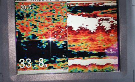 火遠理丸（ほおりまる） 釣果