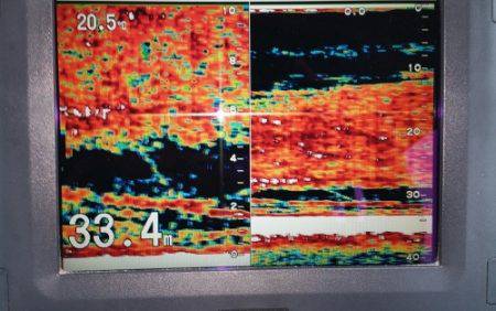 火遠理丸（ほおりまる） 釣果