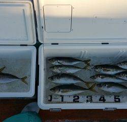 火遠理丸（ほおりまる） 釣果