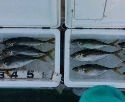 火遠理丸（ほおりまる） 釣果