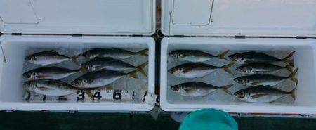 火遠理丸（ほおりまる） 釣果