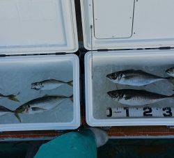 火遠理丸（ほおりまる） 釣果