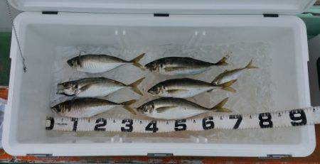 火遠理丸（ほおりまる） 釣果