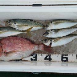 火遠理丸（ほおりまる） 釣果