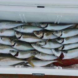 火遠理丸（ほおりまる） 釣果