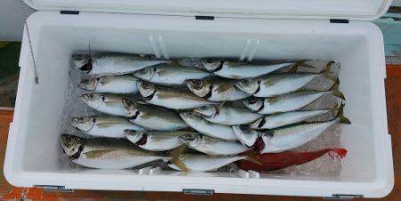 火遠理丸（ほおりまる） 釣果