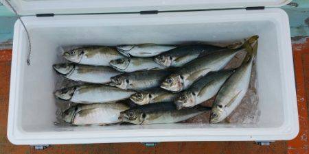 火遠理丸（ほおりまる） 釣果