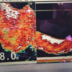 火遠理丸（ほおりまる） 釣果