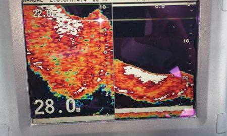 火遠理丸（ほおりまる） 釣果