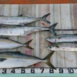 火遠理丸（ほおりまる） 釣果