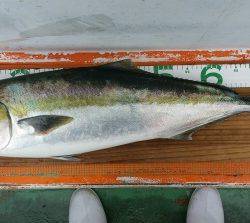 火遠理丸（ほおりまる） 釣果