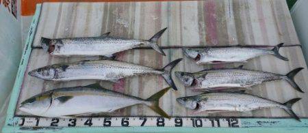 火遠理丸（ほおりまる） 釣果