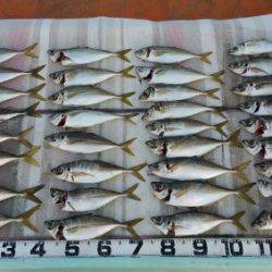 火遠理丸（ほおりまる） 釣果