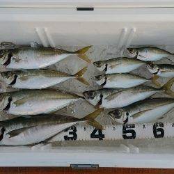 火遠理丸（ほおりまる） 釣果