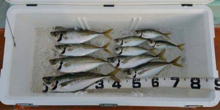 火遠理丸（ほおりまる） 釣果