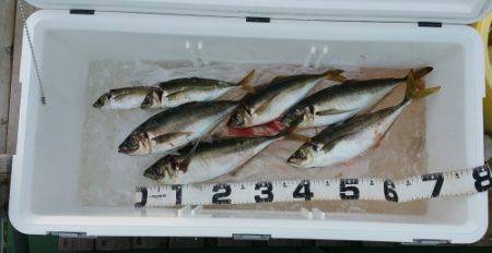 火遠理丸（ほおりまる） 釣果